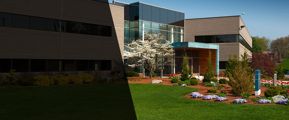 Morenci Landscapers