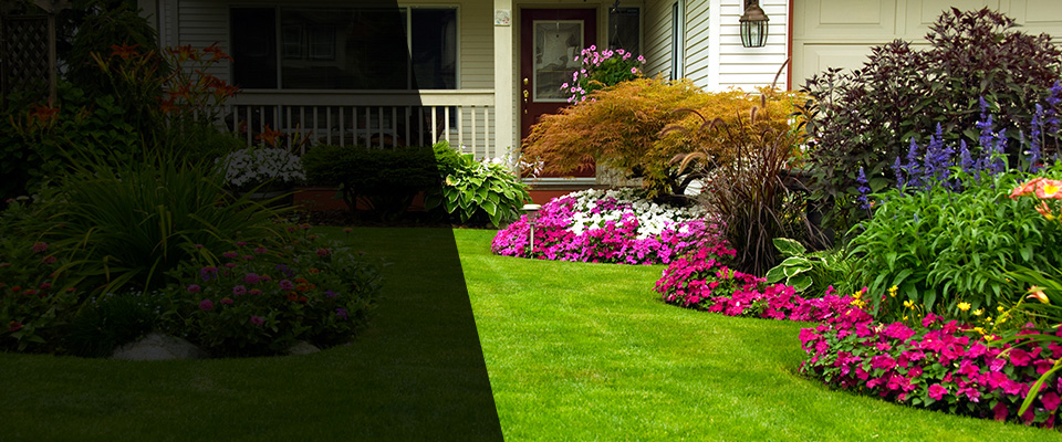 Morenci Landscapers