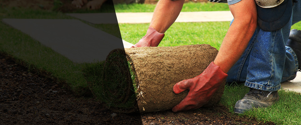 Morenci Landscapers